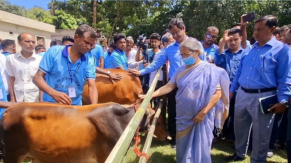 গুঁড়া দুধ আমদানি লজ্জার বিষয় : প্রাণিসম্পদ উপদেষ্টা