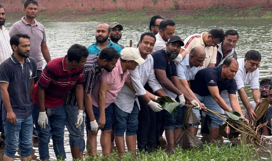 জিয়ার মাজার সংলগ্ন লেক পরিচ্ছন্ন করে শাপলা-শালুক রোপন করলো 'আমরা বিএনপি পরিবার'