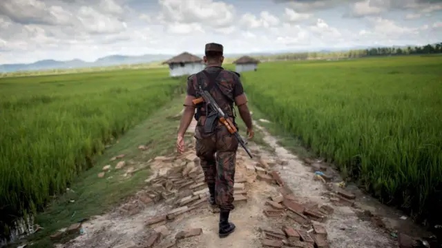 বিএসএফের গুলিতে বিজিবি সদস্য আহত