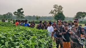 একাধিক সীমান্তে বিএসএফের পুশইন চেষ্টা, সতর্ক অবস্থানে বিজিবি,