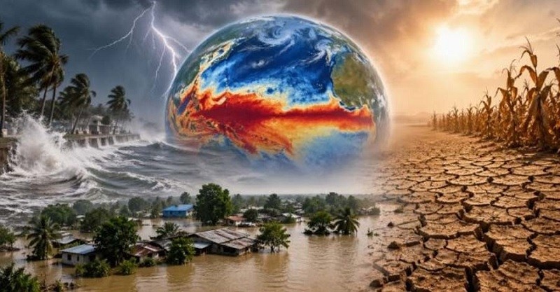 যুদ্ধ ও এল নিনোর প্রভাবে বিশ্বজুড়ে ফের বাড়তে পারে খাদ্যপণ্যের দাম: জাতিসংঘ