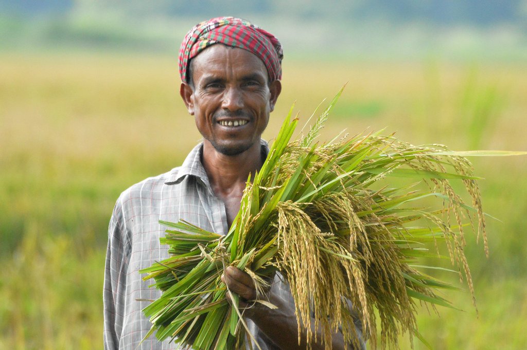 ঋণ মওকুফ পেয়েছেন সোয়া ১৪ লাখ কৃষক