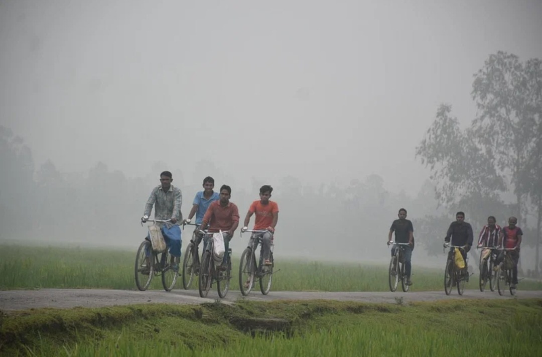 উত্তরাঞ্চলে শীতের আমেজ, পড়তে শুরু করেছে কুয়াশা