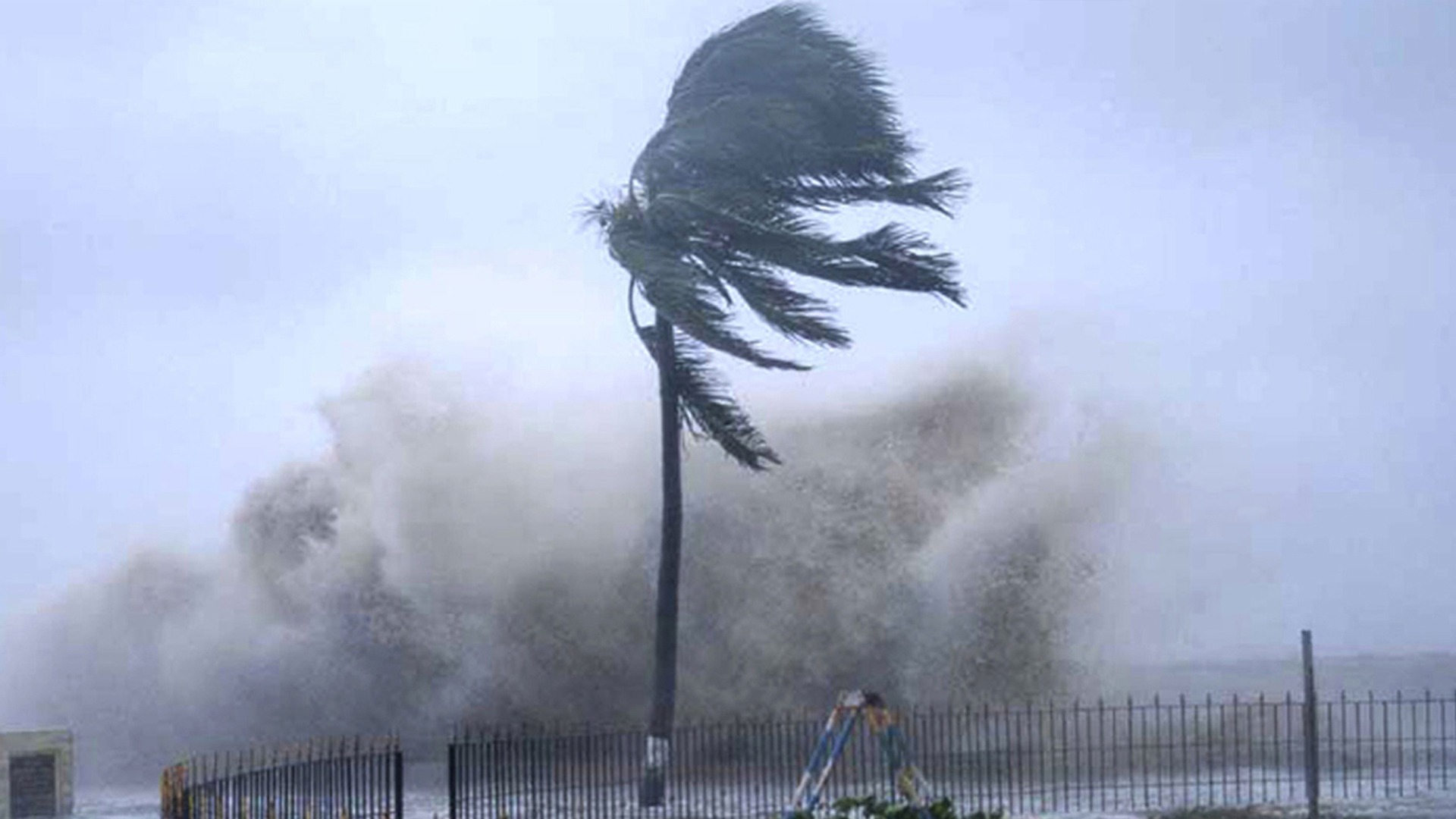 ঢাকাসহ ১১ জেলায় ঝড়ের পূর্বাভাস, নদীবন্দরে সতর্ক সংকেত ১