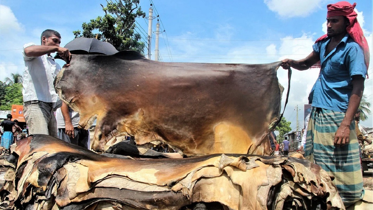 চামড়ার দাম নির্ধারণ করে দিল সরকার