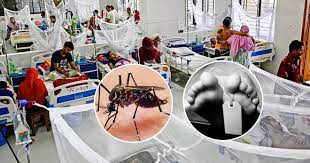 ডেঙ্গুতে ২৪ ঘন্টায় সর্বোচ্চ ৯ জনের মৃত্যু, হাসপাতালে ভর্তি ৭০৪