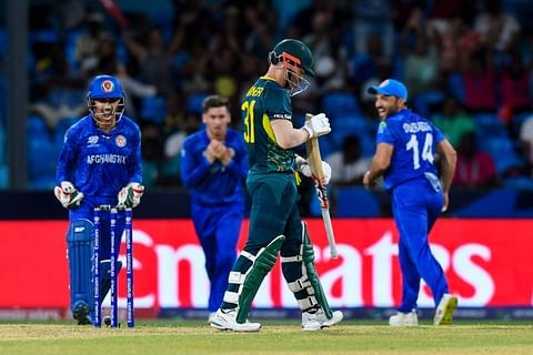 অস্ট্রেলিয়াকে হারিয়ে আফগানিস্তানের ঐতিহাসিক জয়