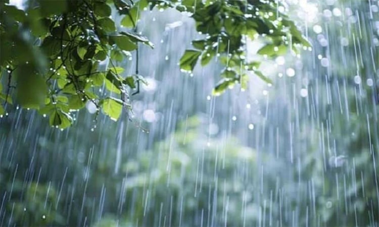 দেশজুড়ে বৃষ্টির আভাস, থাকছে ভারী বর্ষণের শঙ্কা