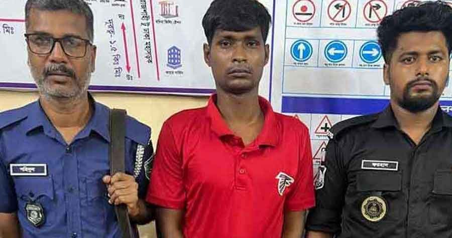 ট্রাকের ধাক্কায় মাইক্রোবাসের ৮ যাত্রী নিহত: চালক গ্রেপ্তার