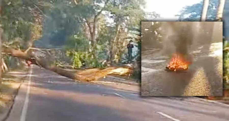 ঢাকা-খুলনা ও ঢাকা-বরিশাল মহাসড়ক অবরোধের চেষ্টা নিষিদ্ধ লীগ বাহিনীর